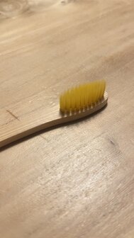 Toothbrush bamboo