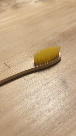 Toothbrush bamboo